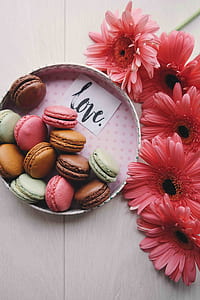 high-angle view of assorted-color macaroons and pink sunflowers thumbnail