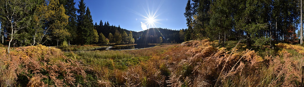 photo of mountain and trees at daytime thumbnail