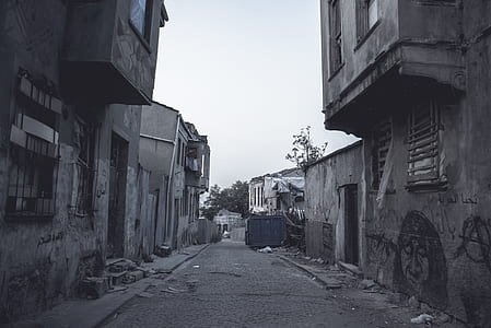 grayscale photography of concrete houses thumbnail