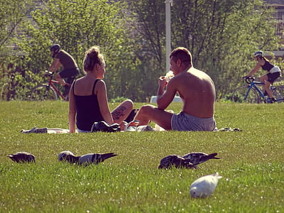 people, women, trees, grass thumbnail