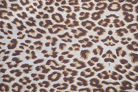 black and brown leopard textile thumbnail
