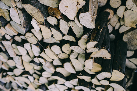 Wooden logs thumbnail