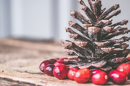 Pine cone Surrounded by Red Coffee Beans thumbnail