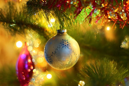 lights, christmas, celebration, christmas tree thumbnail
