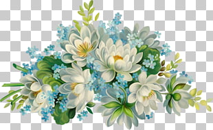 Watercolor: Flowers Watercolor painting Floral design, Painted white lotus, white flowers illustration PNG clipart