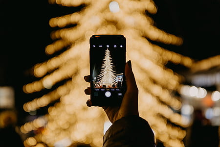 person holding smartphone capturing brown Christmas tree thumbnail