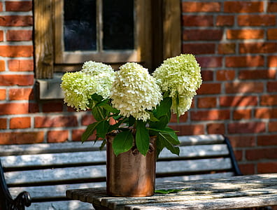 beige petaled flowers with vase near window thumbnail