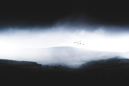 gray mountain thumbnail
