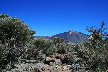Canary Islands, Teide National Park thumbnail