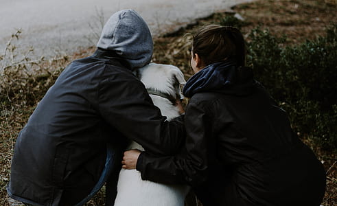 dog sitting between man and woman thumbnail