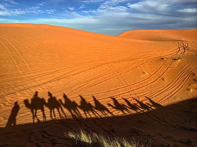 people riding on camels thumbnail