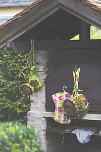 Macro Photography of Yellow and Brown Flower Hanging on Brown Wood Burning Cooker thumbnail