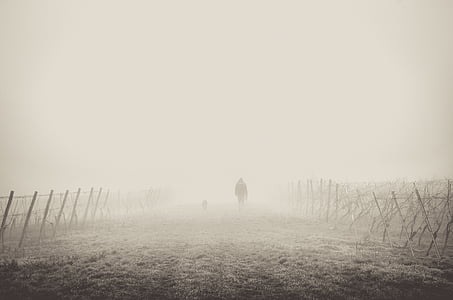 person walking on road with fogs thumbnail