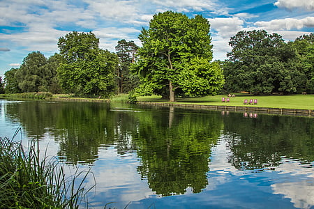 green leafed tree near water thumbnail