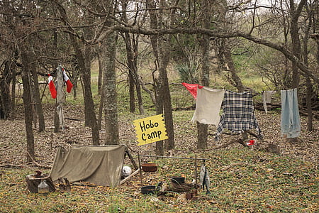 clothes hanged near trees thumbnail
