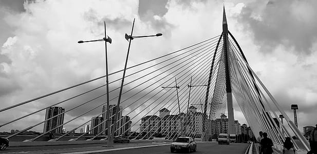 Grayscale Photo of Cable Bridge thumbnail