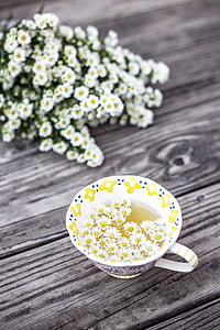 selective focus photo of white and blue floral ceramic cup near flower on gray table thumbnail