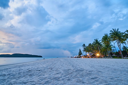 white sand beach beside ocean thumbnail
