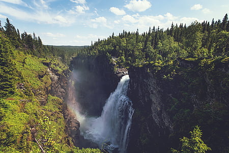 waterfalls surrounded by trees under blue and white sky thumbnail