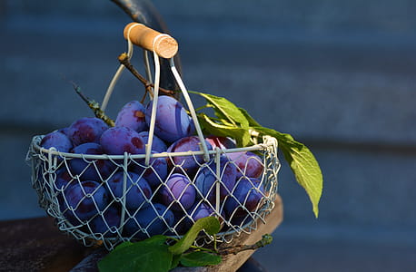 Plum basket thumbnail