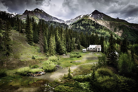 landscape photography of mountain peak near pine trees thumbnail