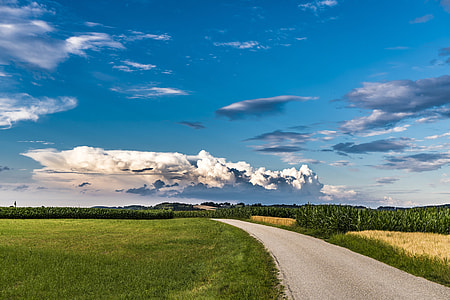 road in between grass fields thumbnail