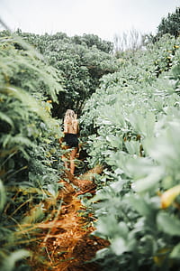 woman walking across the trees during daytime thumbnail