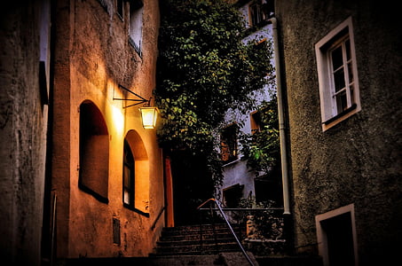 yellow lamp on the building in a distance of a green tree thumbnail