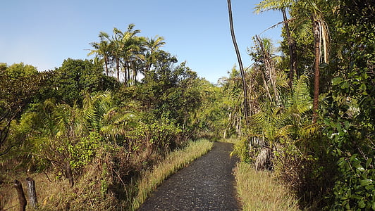gray pathway between green grasses thumbnail