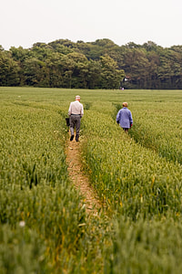 two people walking on grass field pathway during daytime thumbnail