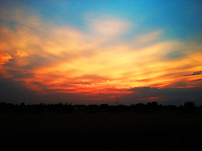 silhouette on trees thumbnail