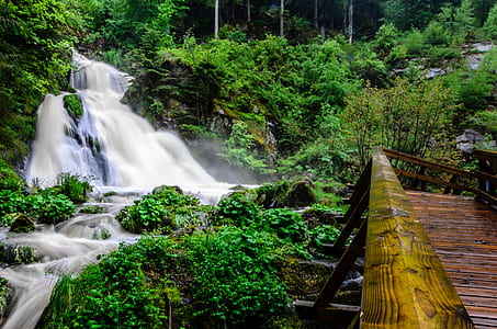 waterfalls in forest thumbnail