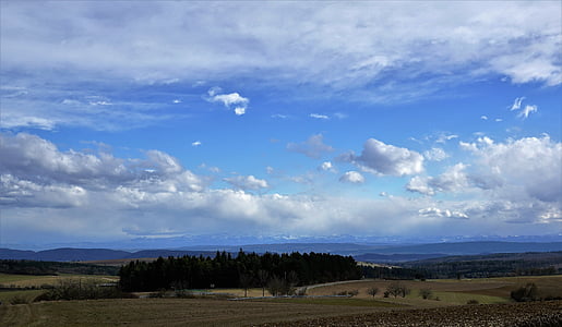 trees on grass field under cloudy sky at daytime thumbnail