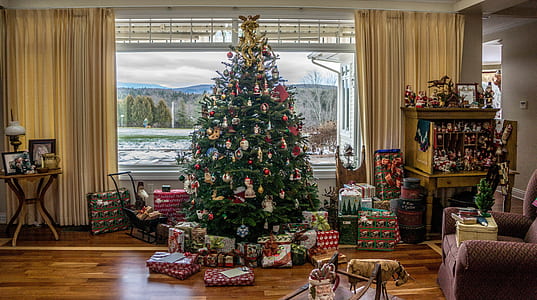 green Christmas Tree with gift boxes near glass window during daytime thumbnail