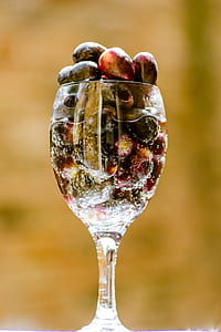tilt shift lens photography of clear wine glasses thumbnail
