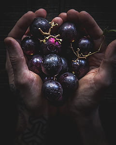shallow focus photography of grape fruits thumbnail
