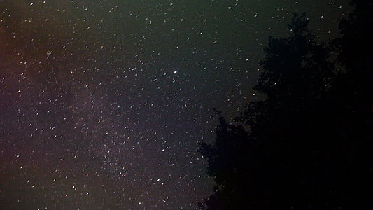 trees under stars during night time thumbnail