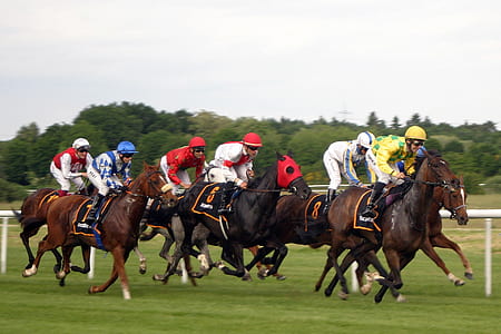 person riding horse thumbnail