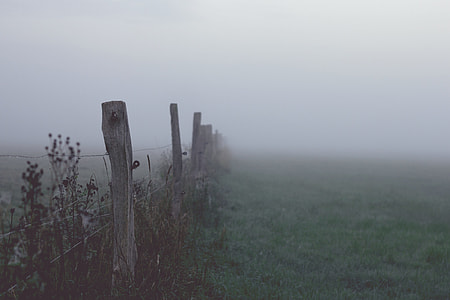 green and brown grass field with fog background photo thumbnail