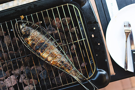Grilled fish thumbnail