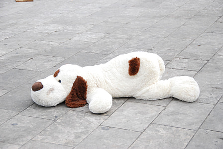 white and brown dog plush toy on pavement floor thumbnail