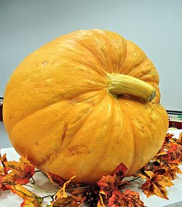 Large Pumpkin, Yellow Orange thumbnail
