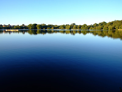 water showing reflection of forest thumbnail