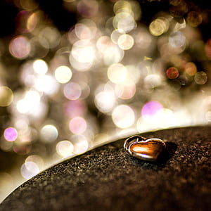brown seed on brown rock selective-focus photography thumbnail