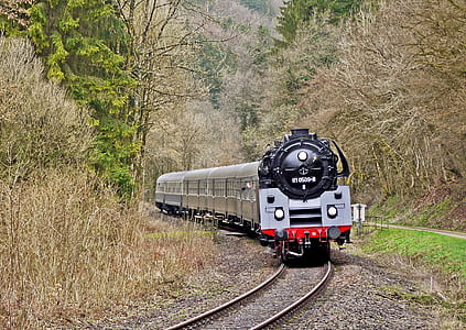 gray train between tree during daytime thumbnail