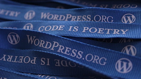 Wordpress.org lanyard thumbnail