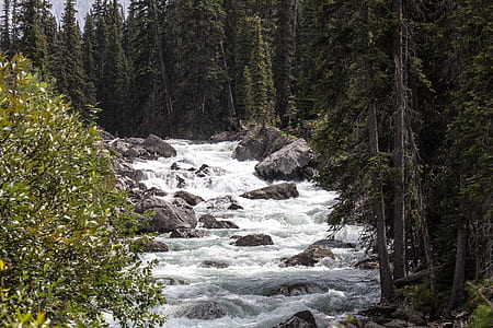 rocks on river thumbnail
