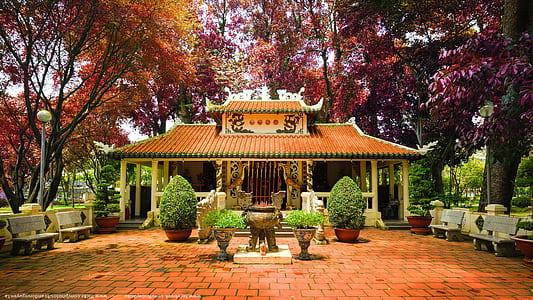 orange temple between trees thumbnail