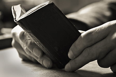 person holding mini book thumbnail