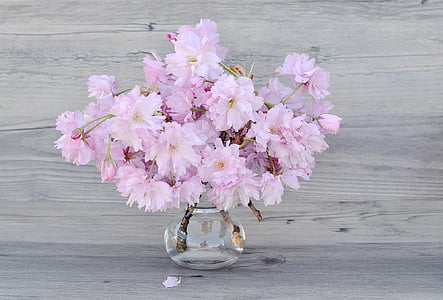pink petaled flowers thumbnail